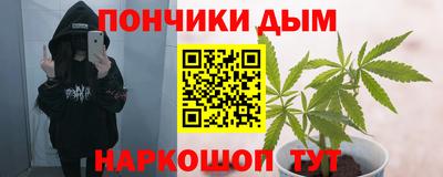 прущие крисы Гатчина