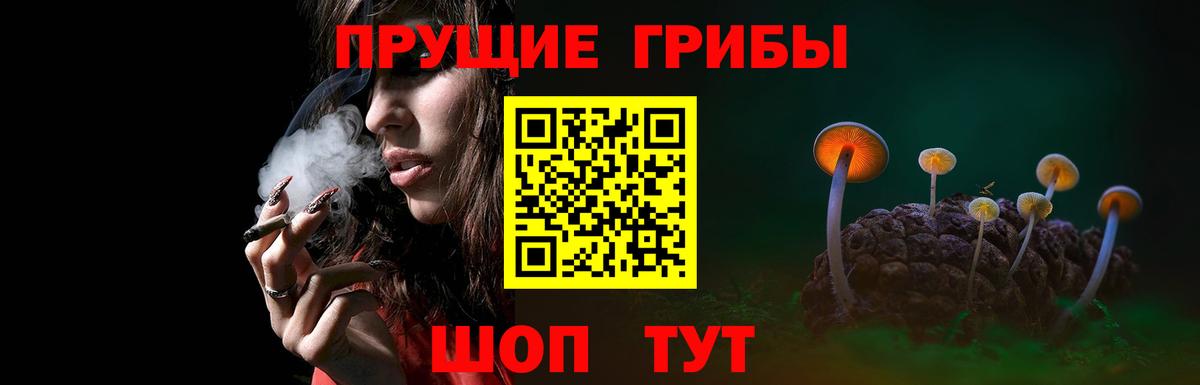 Осинники  Псилоцибиновые грибы мухоморы  Вход с VPN  Галлюциногенные грибы GOLDEN TEACHER 